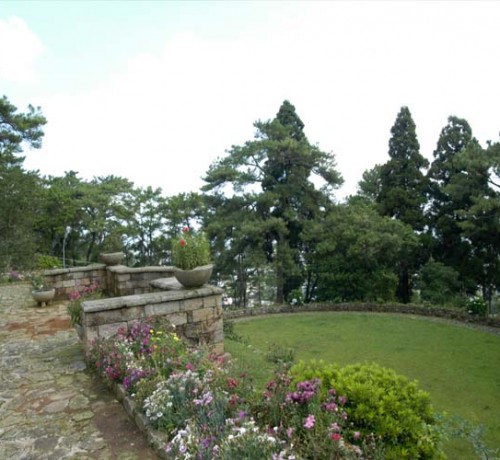 Garden Area