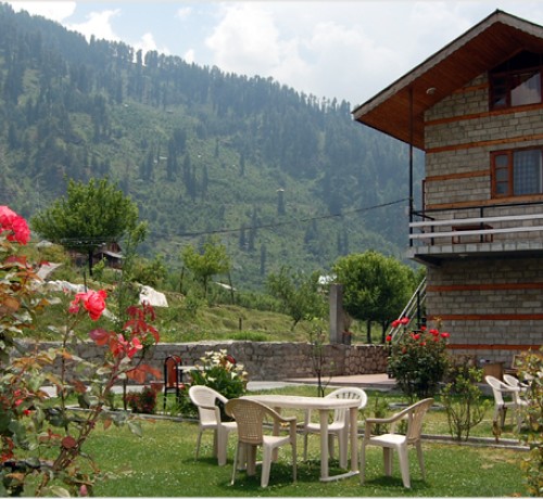Cottage Surrounded by Garden