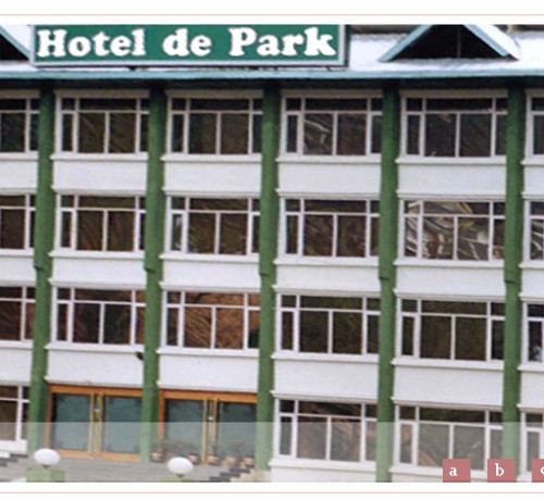 Hotel de Park