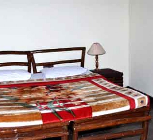 Tiger Den Room Interior