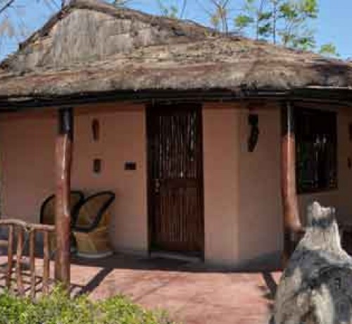 Tiger Den Room Exterior View