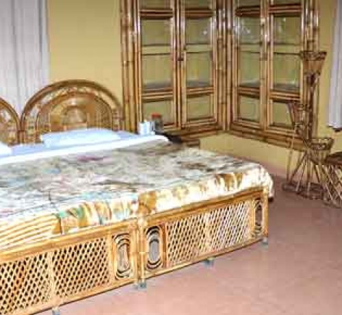 Jungle Cottage Interior