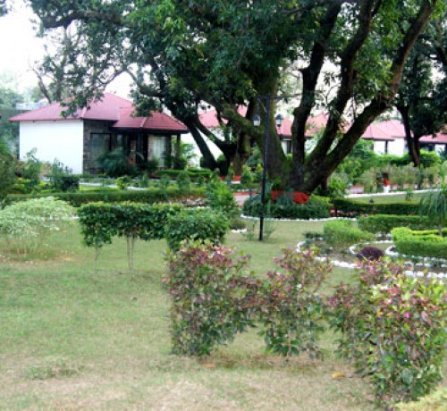 Garden Area
