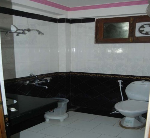 Deluxe restroom