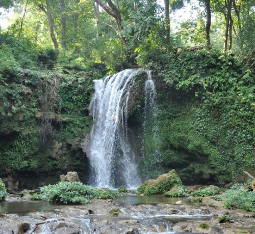 Nearby Attraction Nearby Attraction