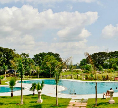 Pool at the Resort Pool at the Resort