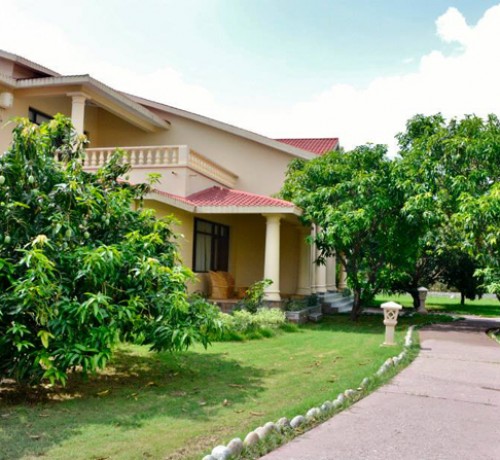 Lush Greenary Lush Greenary