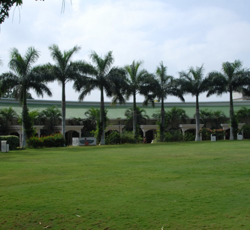 Lawn Area