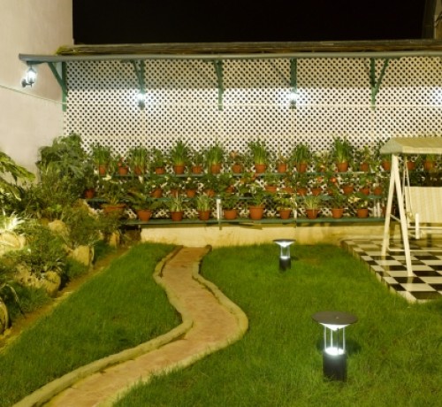 Garden Garden