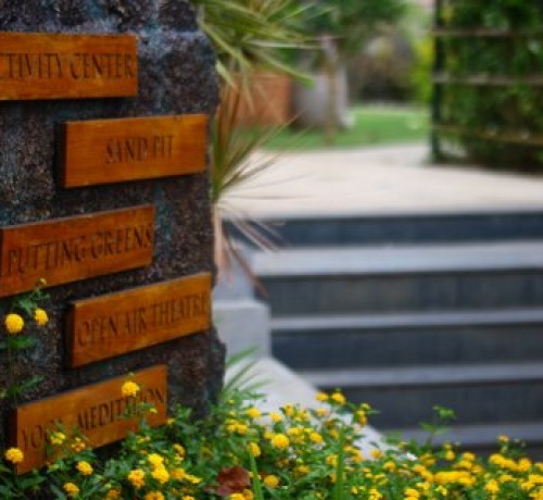 Activities Activities