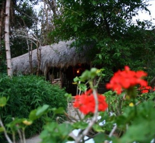 Coffee Hut Coffee Hut