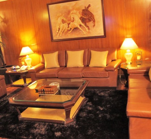 Spacious Living Room