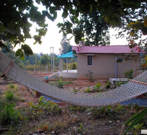 Hammock