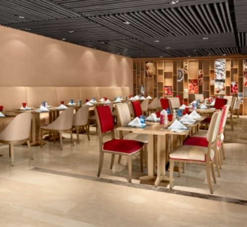 Cafe Knosh Cafe Knosh