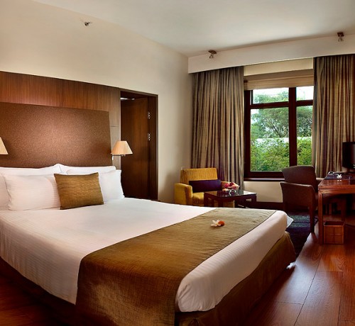 Plush Interior Plush Interior