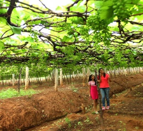 Stay Close to Nature Stay Close to Nature