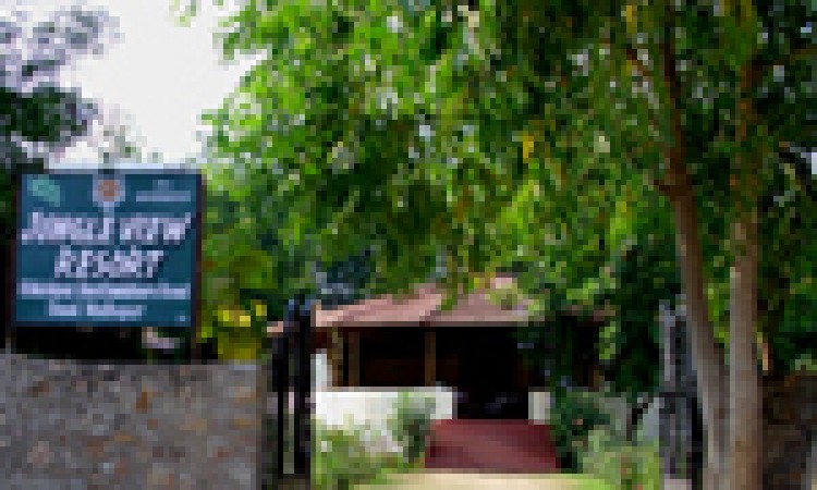 Jungle View Resort