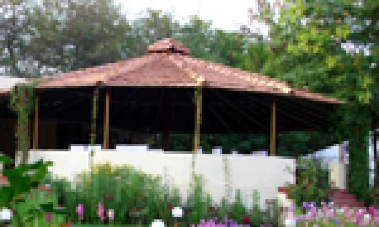 Jungle View Resort