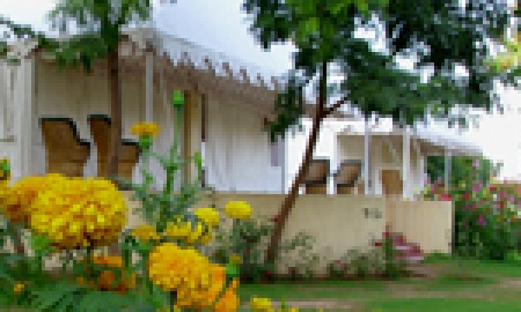 Jungle View Resort