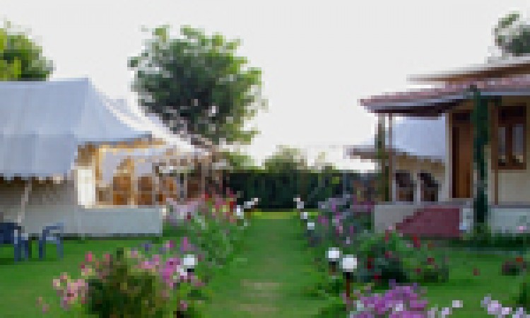 Jungle View Resort