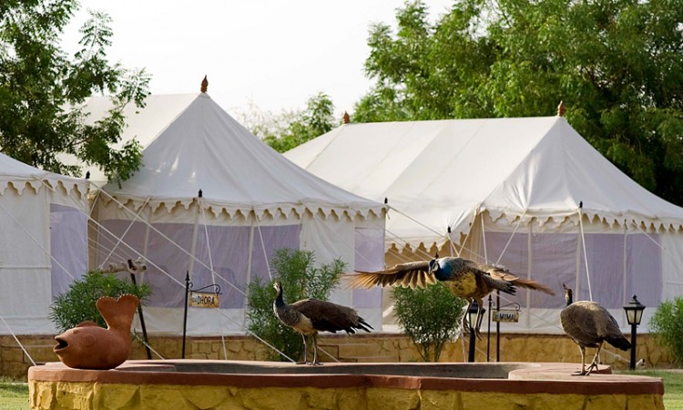 Tents at the resort