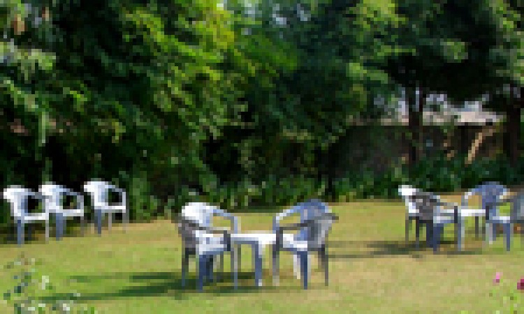 Jungle View Resort