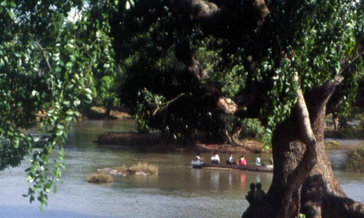 Ambatty Green Resort and Spa