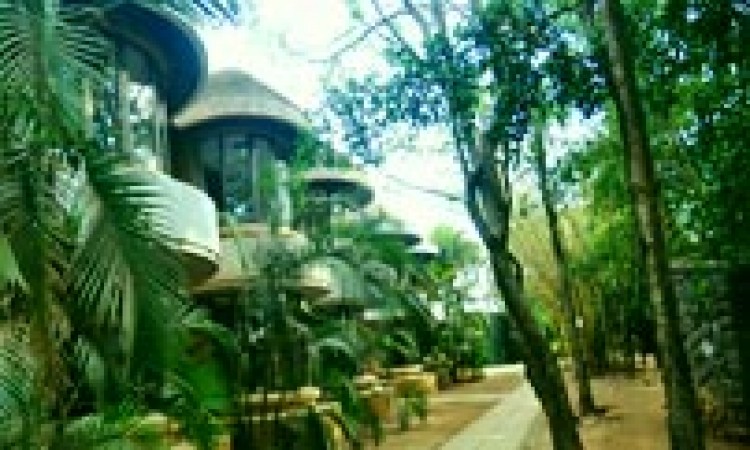 Treasure Island Resort