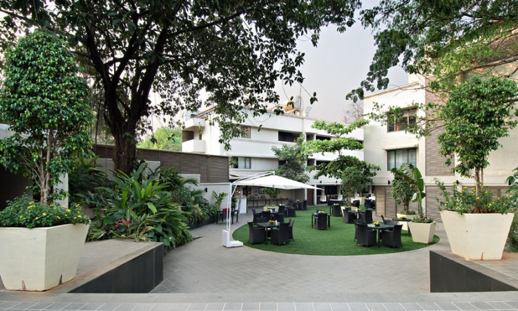 Citrus hotel
