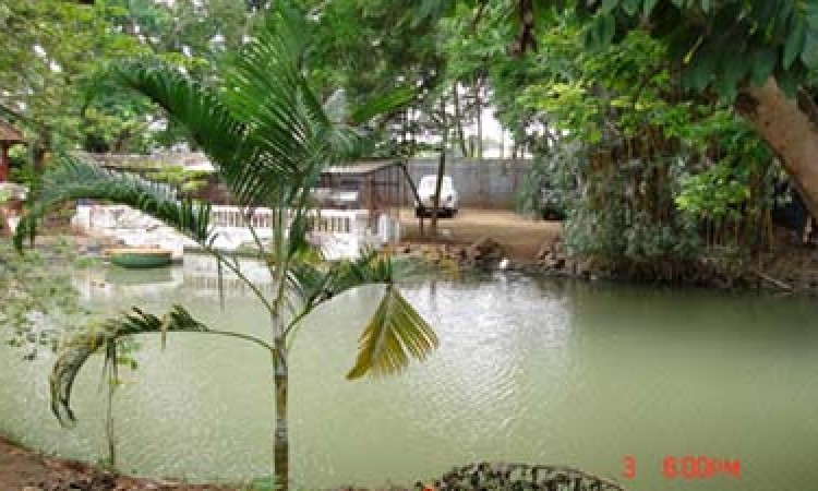 Amblee Resort Amblee Resort