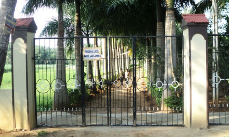 Cauvery Sannidhi for Indian Culture Cauvery Sannidhi for Indian Culture
