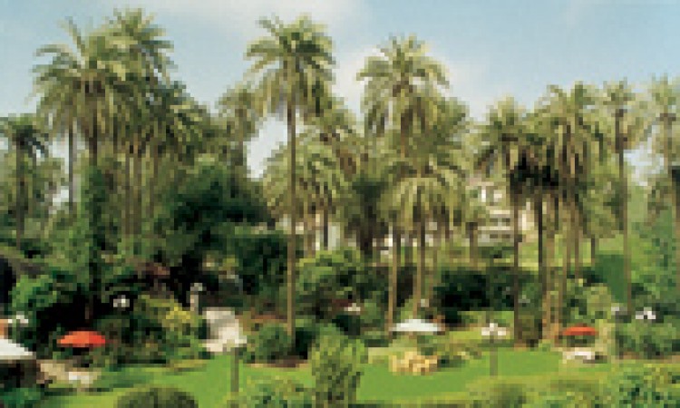 Hotel Hillock