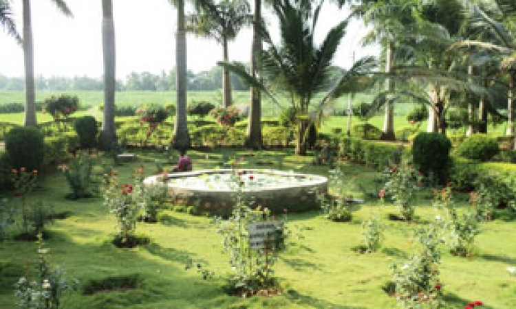 Cauvery Sannidhi for Indian Culture Cauvery Sannidhi for Indian Culture