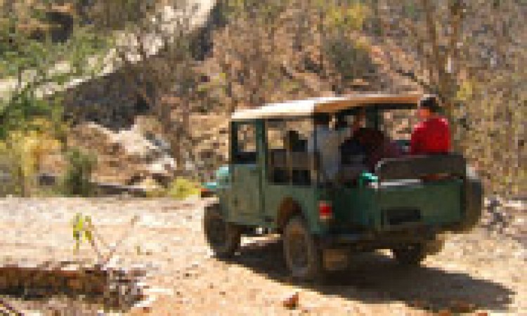 Shivika Lake Hotel