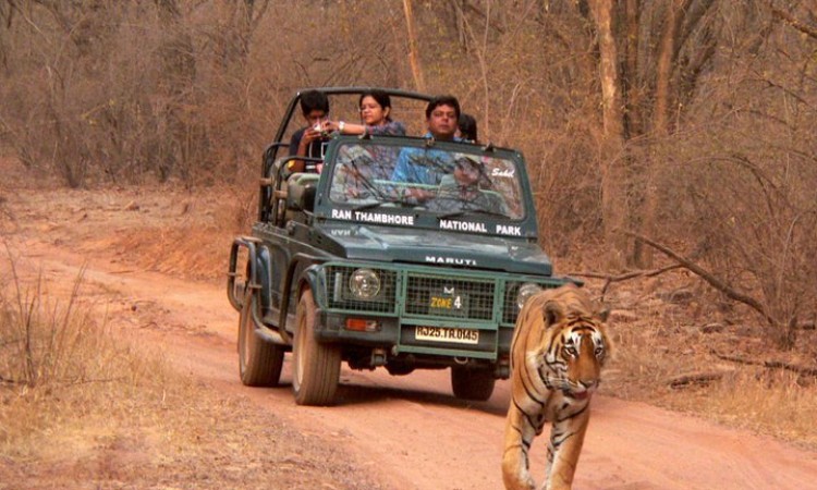 Abrar Palace and Jungle Camps Abrar Palace and Jungle Camps