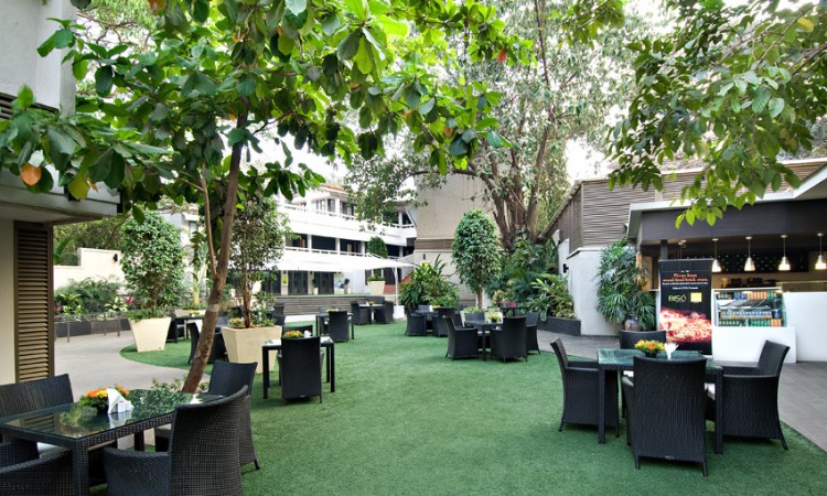 Citrus hotel