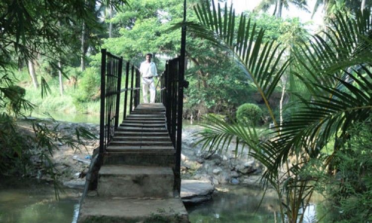Cauvery Sannidhi for Indian Culture Cauvery Sannidhi for Indian Culture