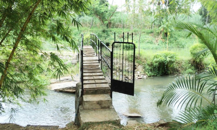 Cauvery Sannidhi for Indian Culture Cauvery Sannidhi for Indian Culture