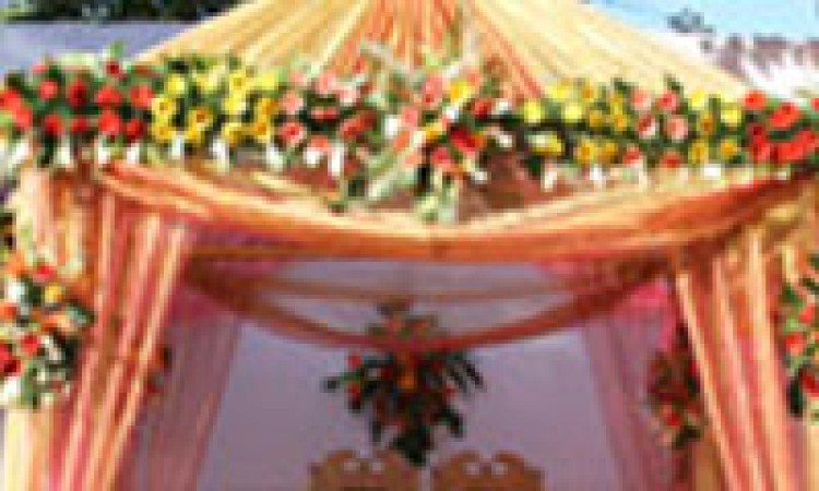 Usha Ascot