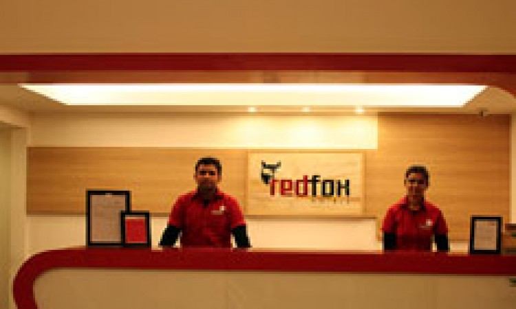 Red fox hotel