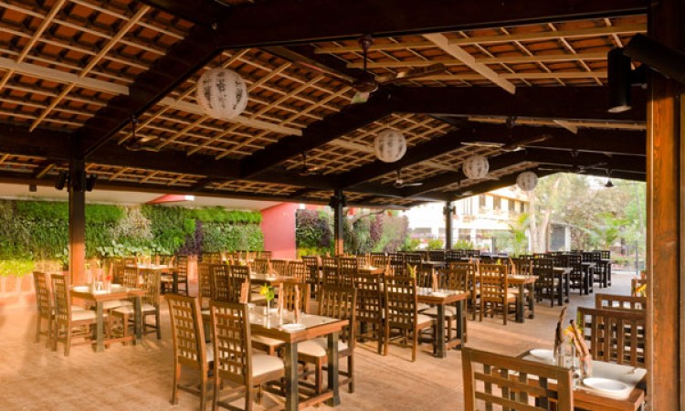 Saj Resort Saj Resort
