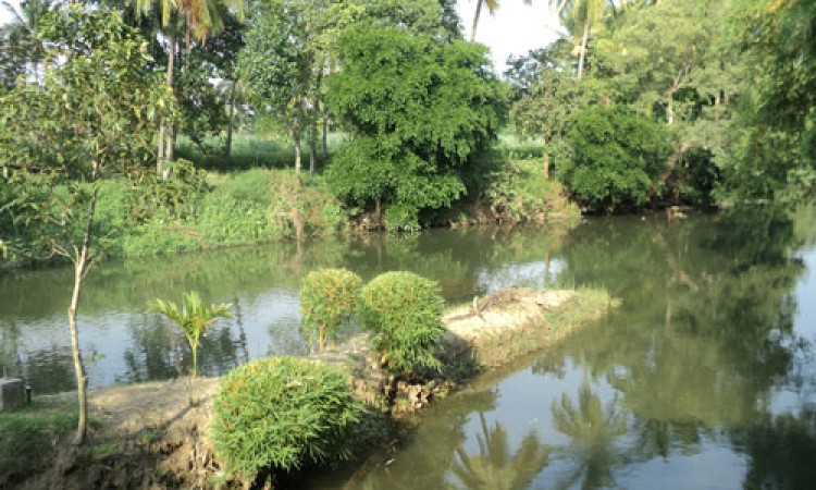 Cauvery Sannidhi for Indian Culture Cauvery Sannidhi for Indian Culture