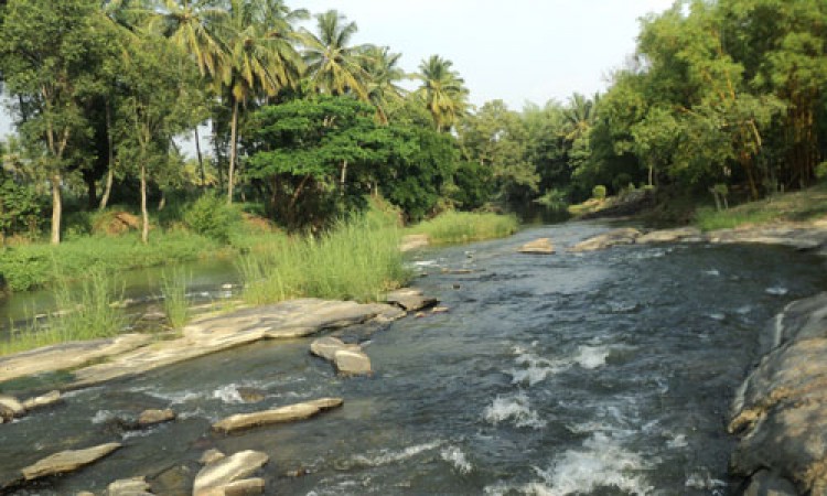 Cauvery Sannidhi for Indian Culture Cauvery Sannidhi for Indian Culture