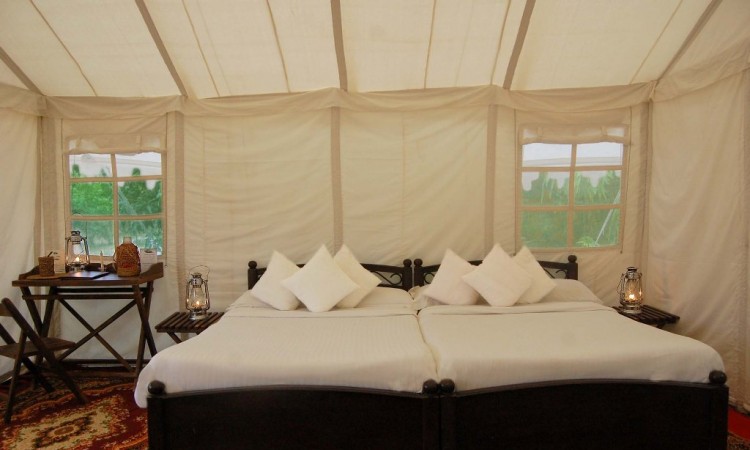 Abrar Palace and Jungle Camps Abrar Palace and Jungle Camps