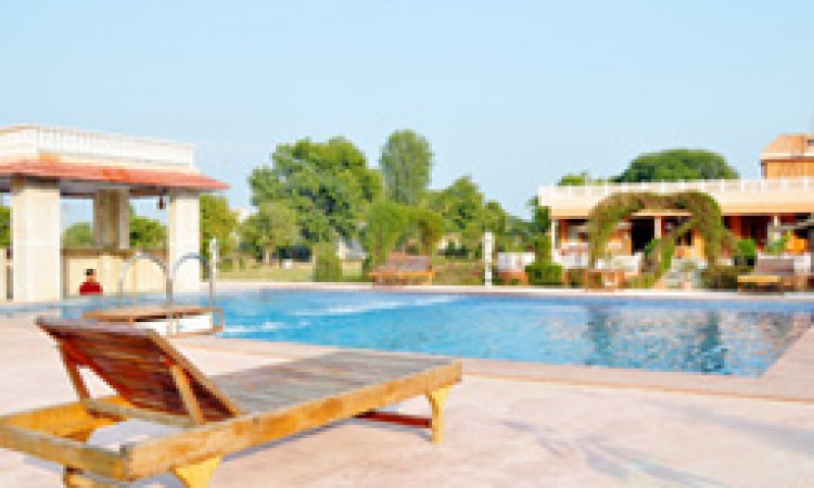 Sariska Tiger Camp