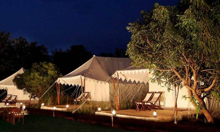 Abrar Palace and Jungle Camps Abrar Palace and Jungle Camps