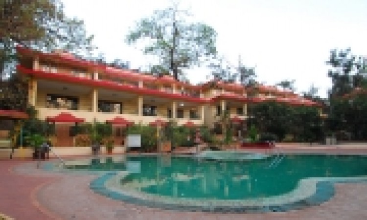 Adamo the Resort