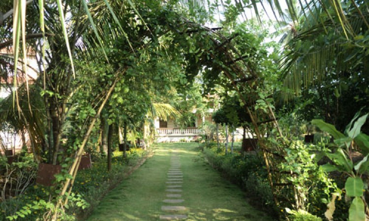 Cauvery Sannidhi for Indian Culture Cauvery Sannidhi for Indian Culture