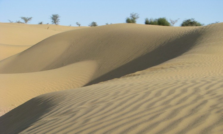 Sand dunes surrounding the resort