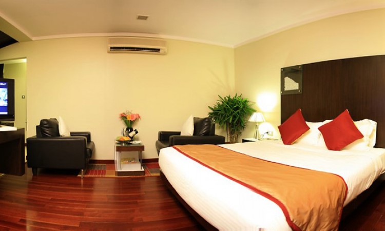 Deluxe King Size Room